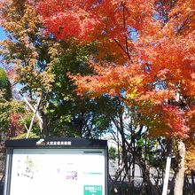 盆栽美術館正面