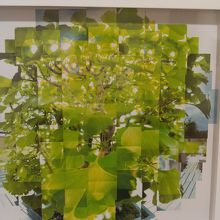 展示室で行われていた写真展。