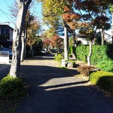 盆栽町の街路樹
