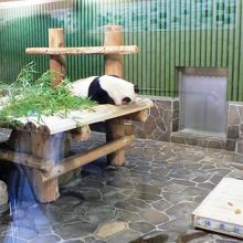 王子動物園のジャイアントパンダ