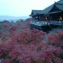 いい時期に行けました。