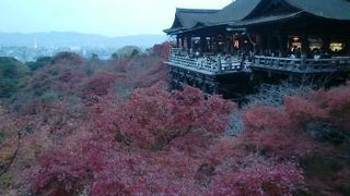 紅葉の清水寺