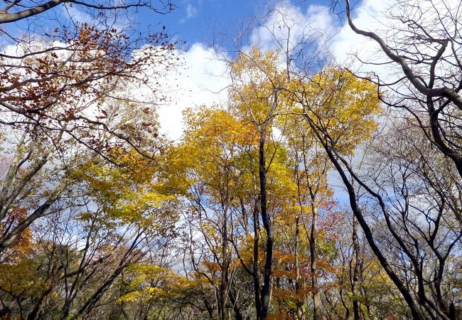 那須平成の森