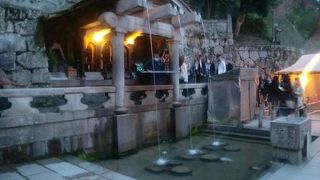 今回は見ただけです。