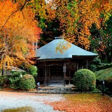 紅葉に囲まれた御堂