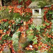 強羅公園内の茶苑。紅葉がキレイでした。