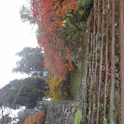 紅葉時期にお勧め