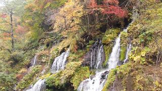 紅葉がキレイな時期でも全然混み合ってないのが嬉しい!　バス停からはかなり遠いですが、穴場です。