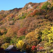 滝だけではなく、周りの紅葉もとってもキレイでした!