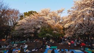 大賑わいの花見スポット