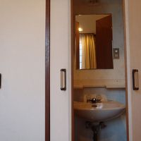 クローゼットかと思いきや、開けたら洗面所の登場(p_-)