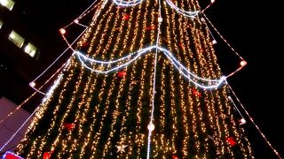 ドイツからコンテナで輸送されて来た本物