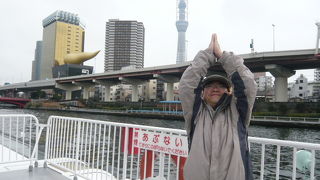 築地からちょっと歩いた「浜離宮恩賜庭園」に乗り場あり。お台場を経由して両国、浅草へ！