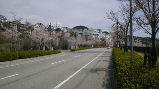 四季折々の自然が豊か