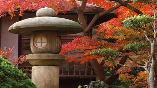 小石川後楽園　四季折々の美しさ