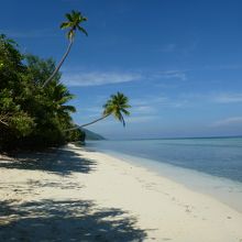 いつもこの景色。スタッフとゲスト３人以外人がいない。