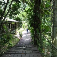 橋を渡って左手に見える建物が事務所です