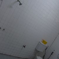 シャワーとトイレ。区切りなし・・・