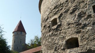 かわいいふとっちょさん