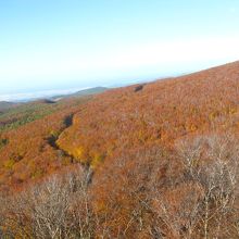 グラデーションが美しい！