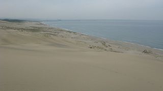 思ったより大きい！