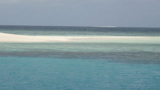 オーシャンスピリットクルーズで行きました。