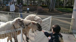 相模原郊外の大規模公園