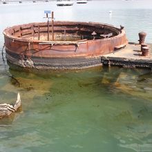 黙とうしました