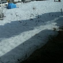 雪原に映る走るSL