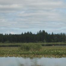 隣のシルバーレイクの写真しかなく・・・