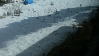 雪の湿原を煙を吐きながら走るSL