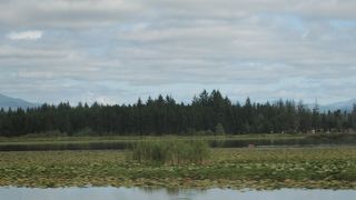 マウントセントヘレンズビジターセンター