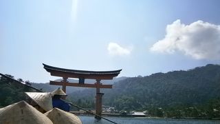 これぞ日本です。船で鳥居をくぐっての参拝をおすすめします。