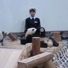 ミルクタイム！