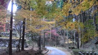 紅葉の季節に比叡山