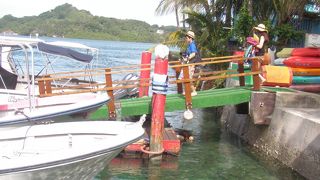 ガイドも陽気でコースも豊富にあるのでおすすめです