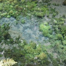 砂を巻き上げて湧き出す泉