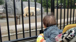 小さいですが見応えのある動物園