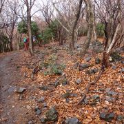 変化にとんだ、山　竜ヶ岳