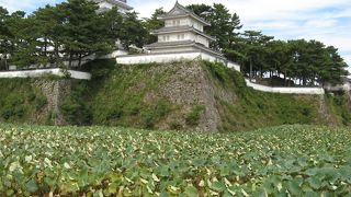 天守閣から見る有明海と島原の町並みは絶景