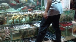 香港屈指のシーフード街