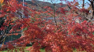 嵯峨野の玄関口らしい駅