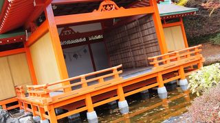 平家の勉強＋紅葉=amazing