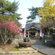 12世紀創建の歴史ある神社