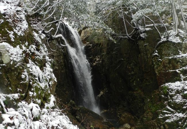 12月2日に行ったら雪が降っていました