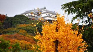 松山市内中心部から仰ぎ見ることができる