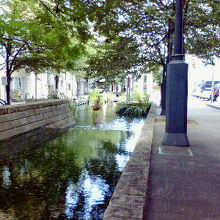 橋の周りの水路は涼しげです。