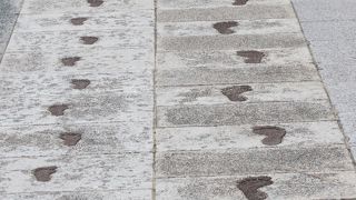 天気がよければ、ぶらぶら時間をつぶすのにいいかも