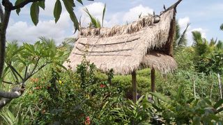 景色が素晴らしい