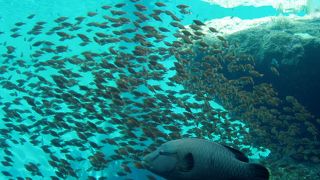 大きな水槽に大満足